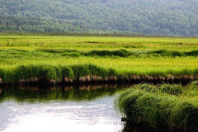 070404 Hope Hatcher Montana Creek (10068)
